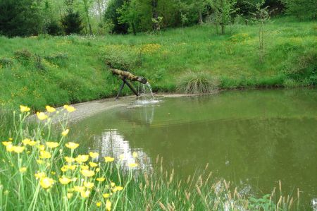 L'étang de Nadine et Georges MACARY  pour concours de pêche à Concèze. Etang privé de 1 ha pour la pêche situé a moins d'un km du gîte de Leycuras